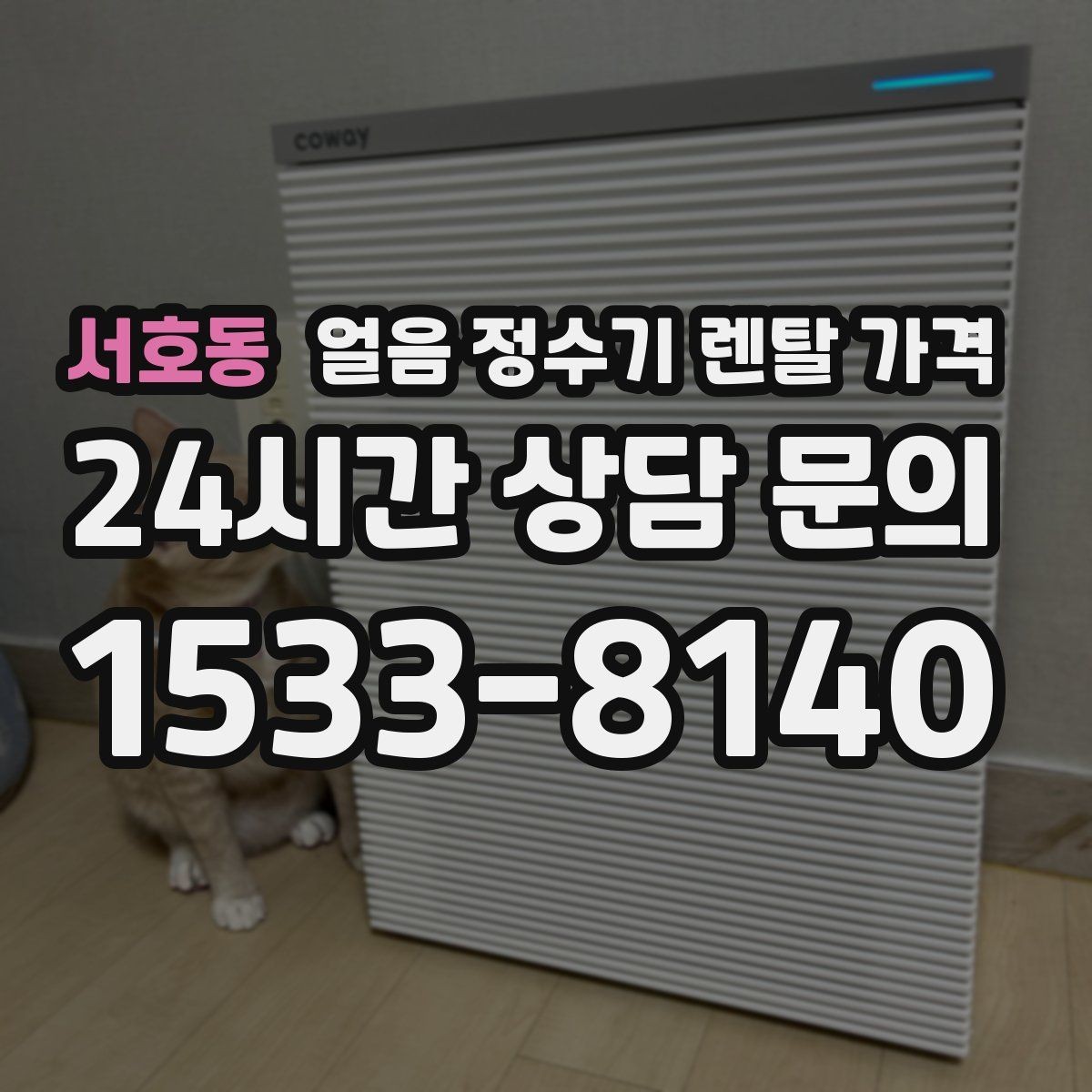 서호동 얼음 정수기 렌탈 가격 필터 성능만으로 판단하면 안 되는 이유