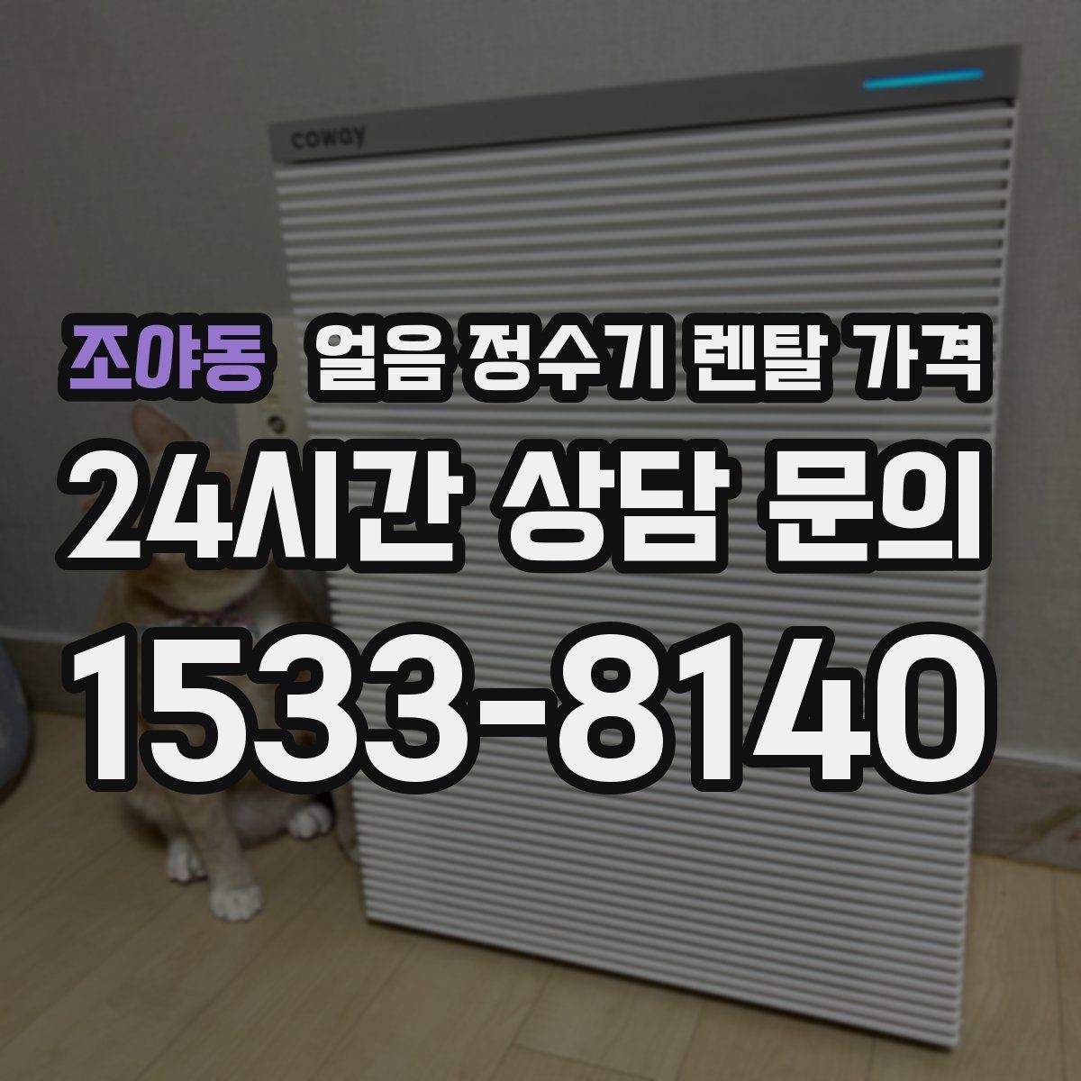 조야동 얼음 정수기 렌탈 가격 불필요한 기능 줄이는 기준