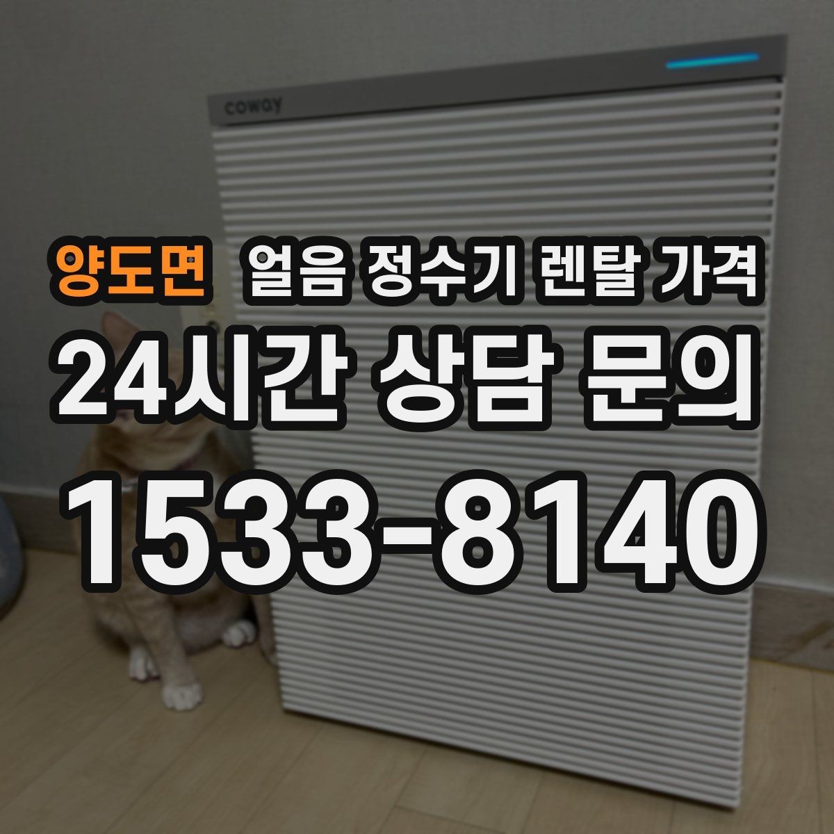 양도면 얼음 정수기 렌탈 가격 얼음 저장 방식에 따라 달라지는 점