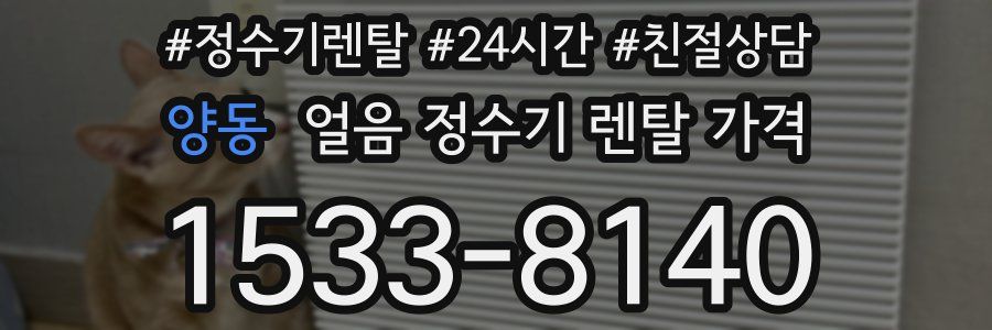 양동 얼음 정수기 렌탈 가격