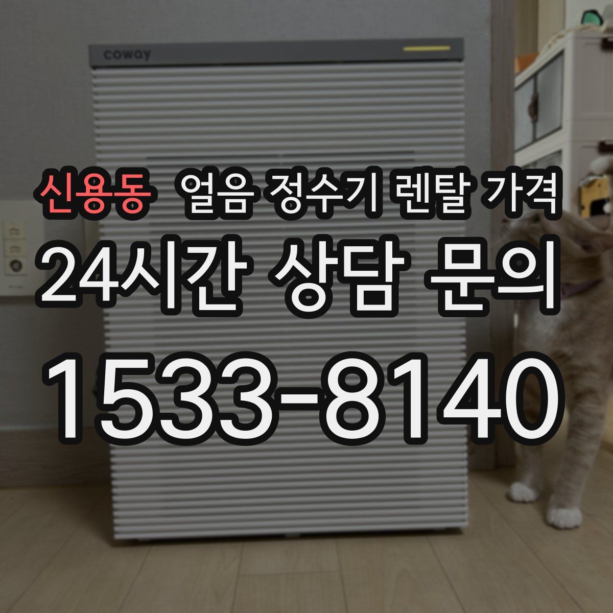 신용동 얼음 정수기 렌탈 가격