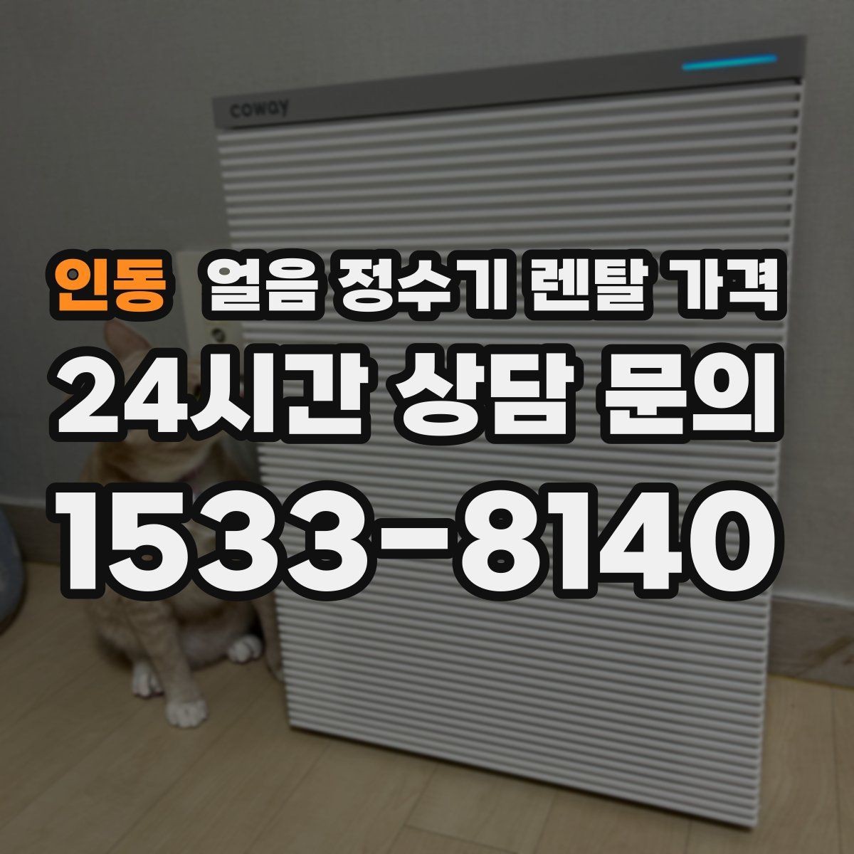 인동 얼음 정수기 렌탈 가격 가장 현실적인 선택 기준