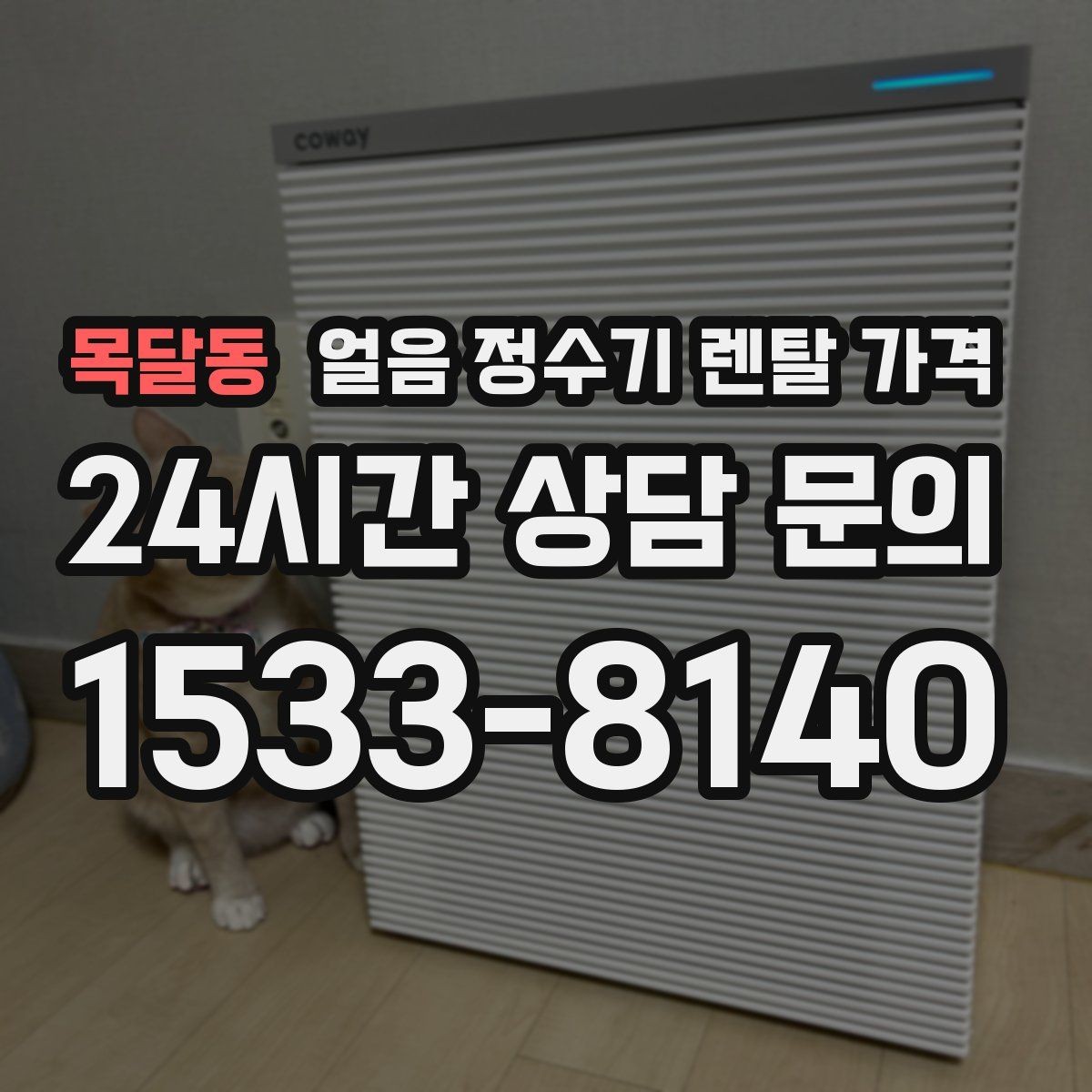 목달동 얼음 정수기 렌탈 가격 프로모션 시기별 차이 정리