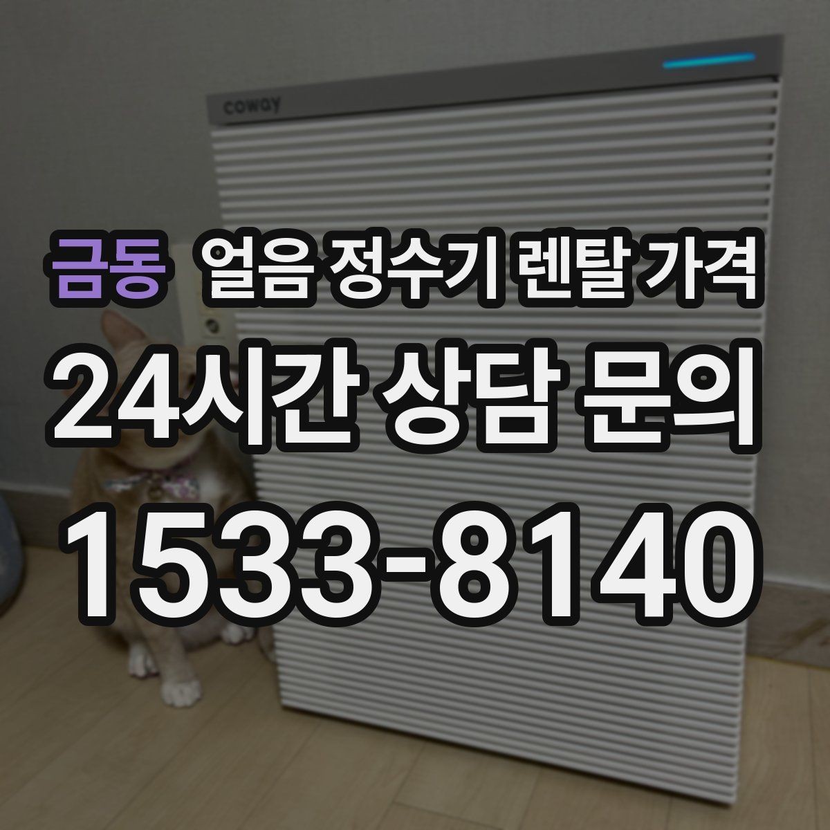 금동 얼음 정수기 렌탈 가격 냉수보다 얼음을 자주 쓰는 집의 기준