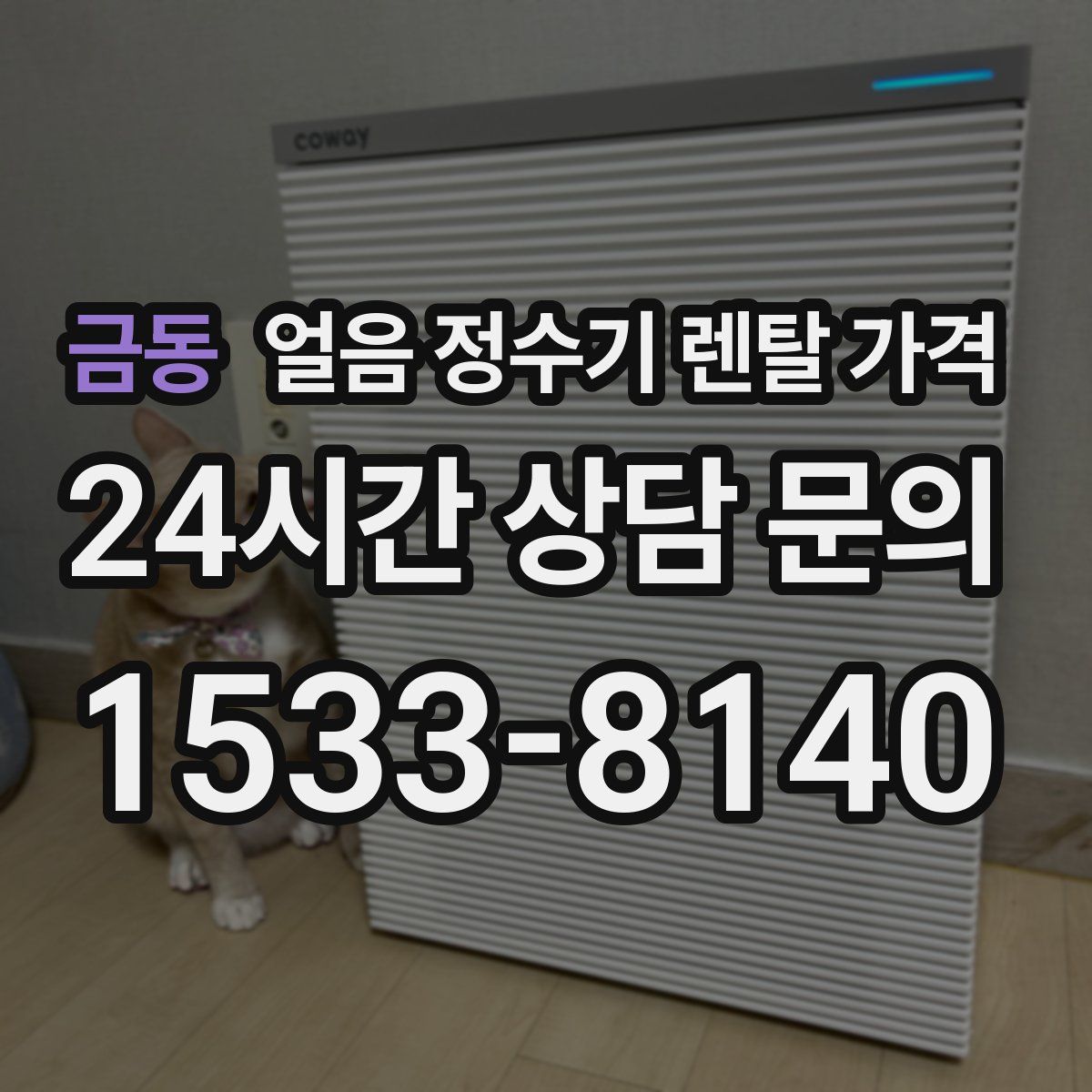 금동 얼음 정수기 렌탈 가격
