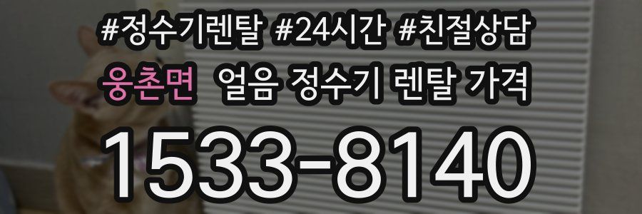 웅촌면 얼음 정수기 렌탈 가격