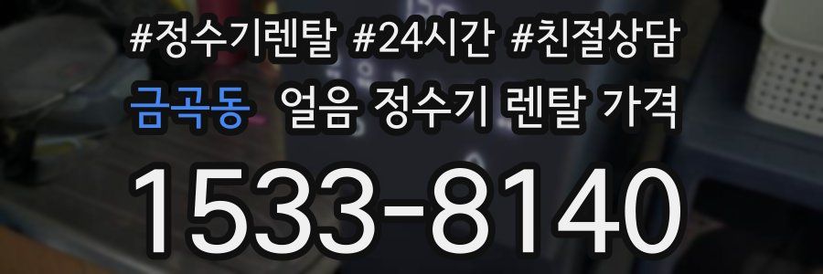 금곡동 얼음 정수기 렌탈 가격