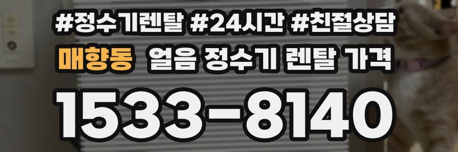 매향동 얼음 정수기 렌탈 가격