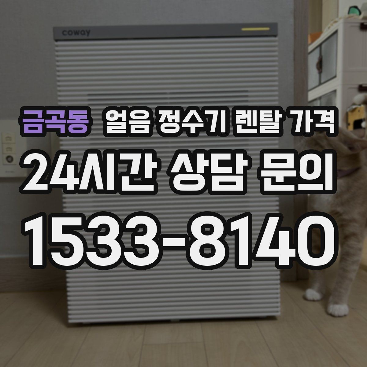 금곡동 얼음 정수기 렌탈 가격 약관에서 놓치기 쉬운 부분