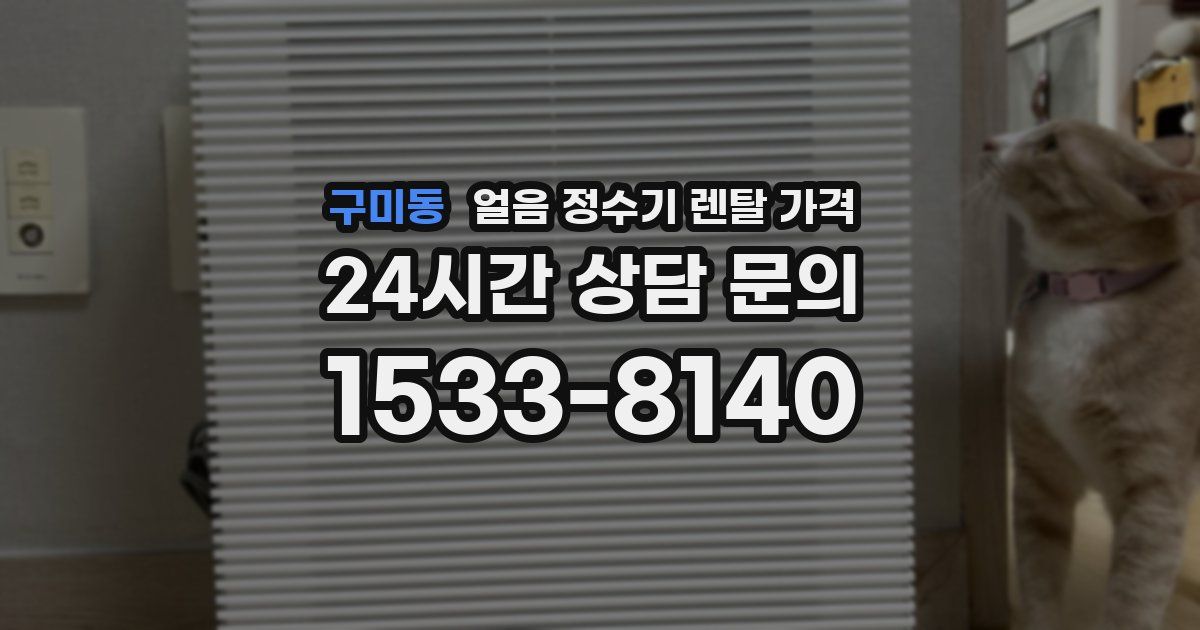 구미동 얼음 정수기 렌탈 가격