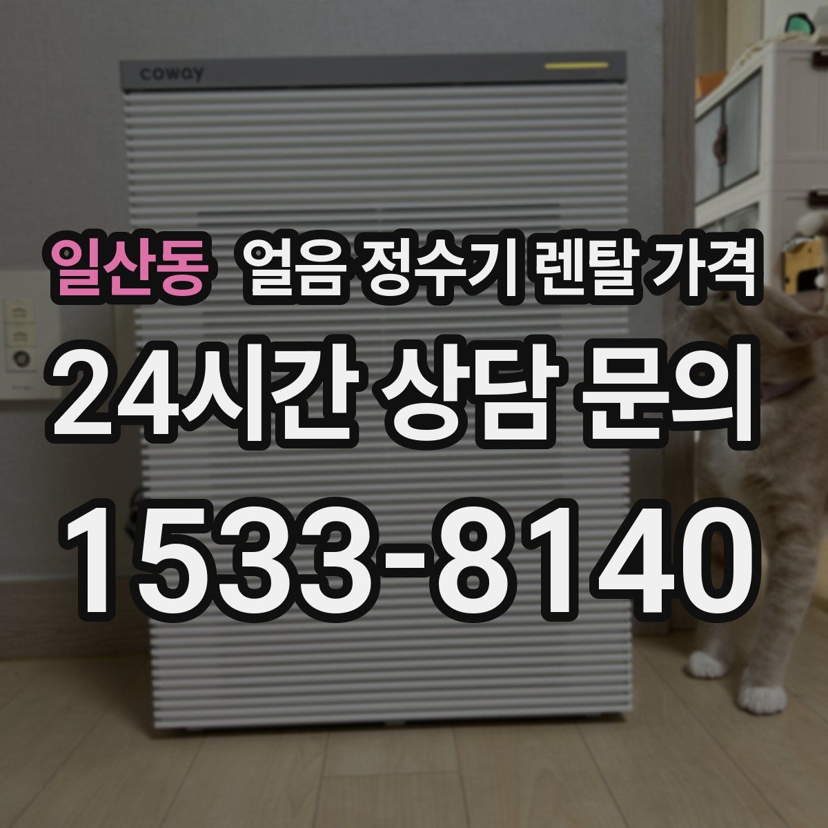 일산동 얼음 정수기 렌탈 가격