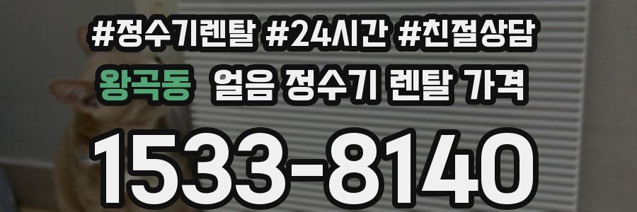 왕곡동 얼음 정수기 렌탈 가격