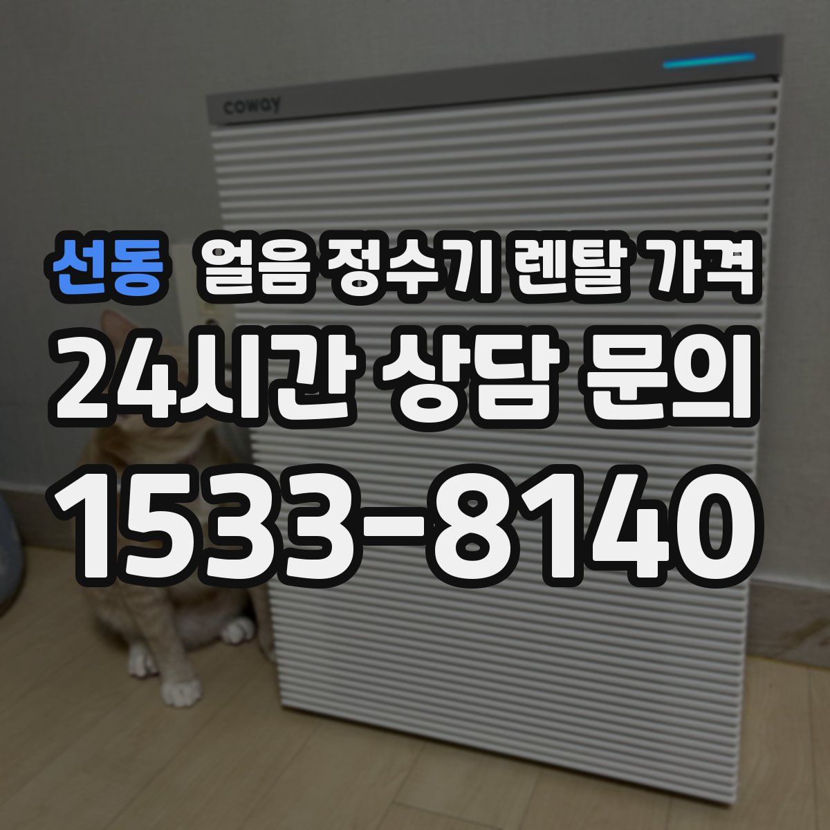 선동 얼음 정수기 렌탈 가격