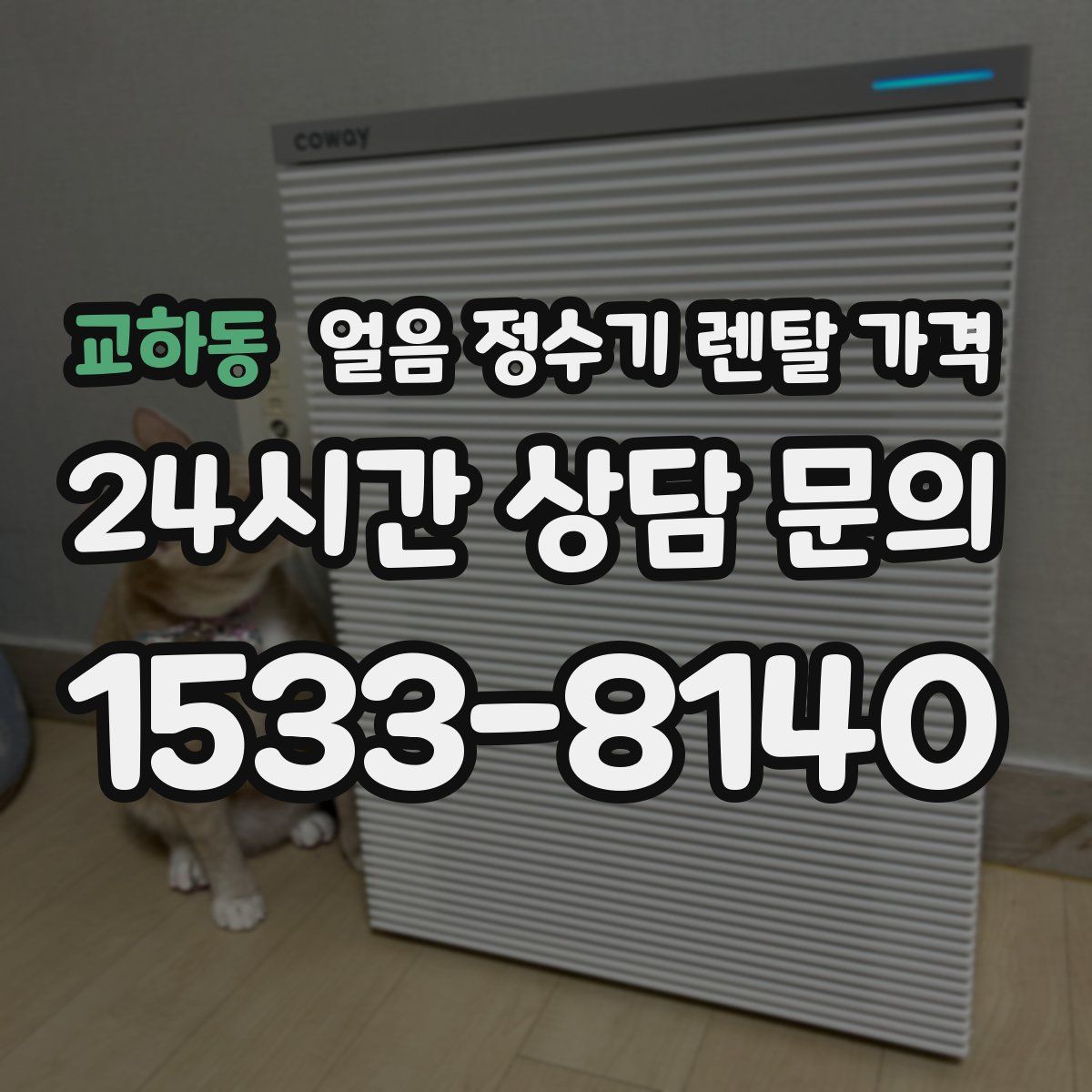 교하동 얼음 정수기 렌탈 가격