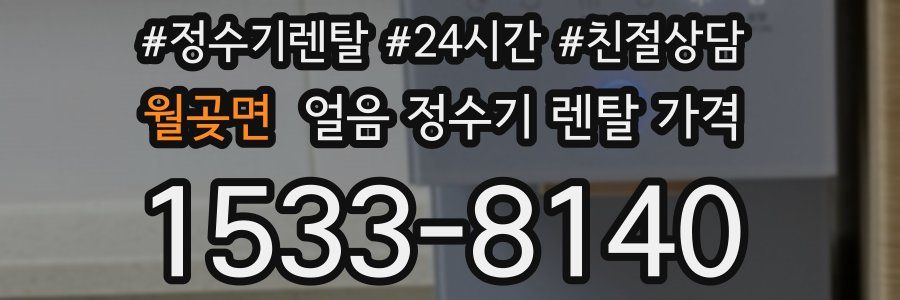 월곶면 얼음 정수기 렌탈 가격