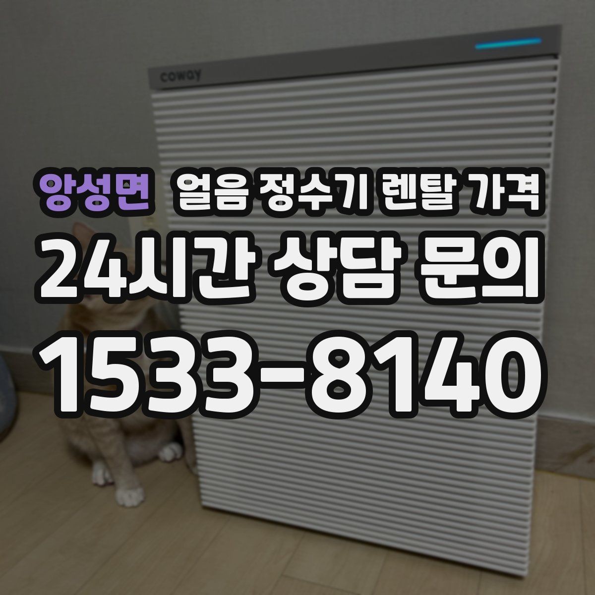 앙성면 얼음 정수기 렌탈 가격 무전원 제품과의 차이 정리