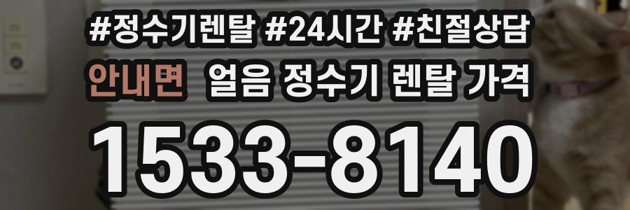 안내면 얼음 정수기 렌탈 가격