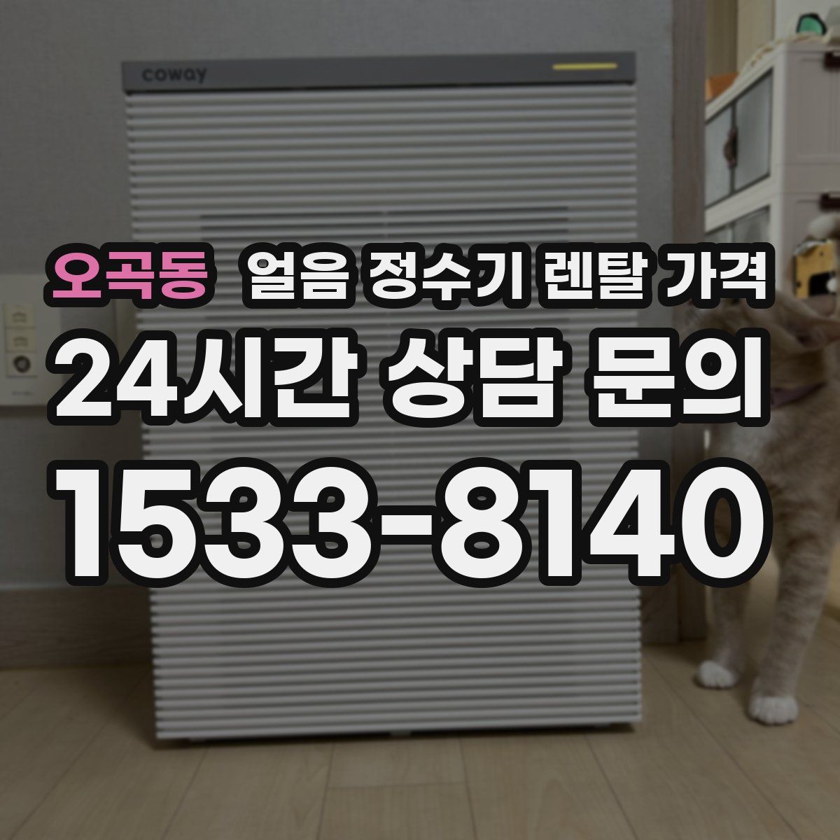 오곡동 얼음 정수기 렌탈 가격
