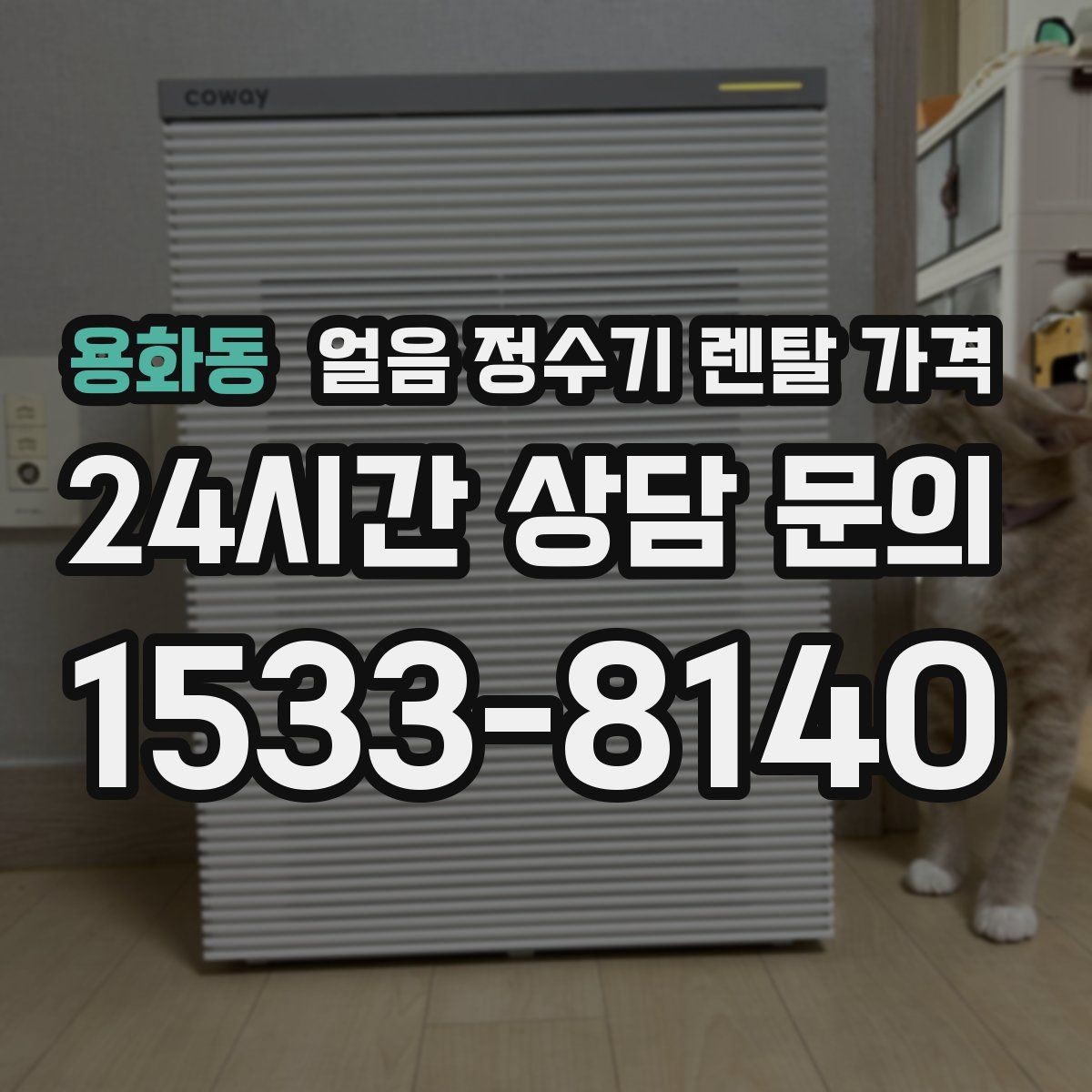 용화동 얼음 정수기 렌탈 가격 주방 동선에 맞춰 고르는 방법