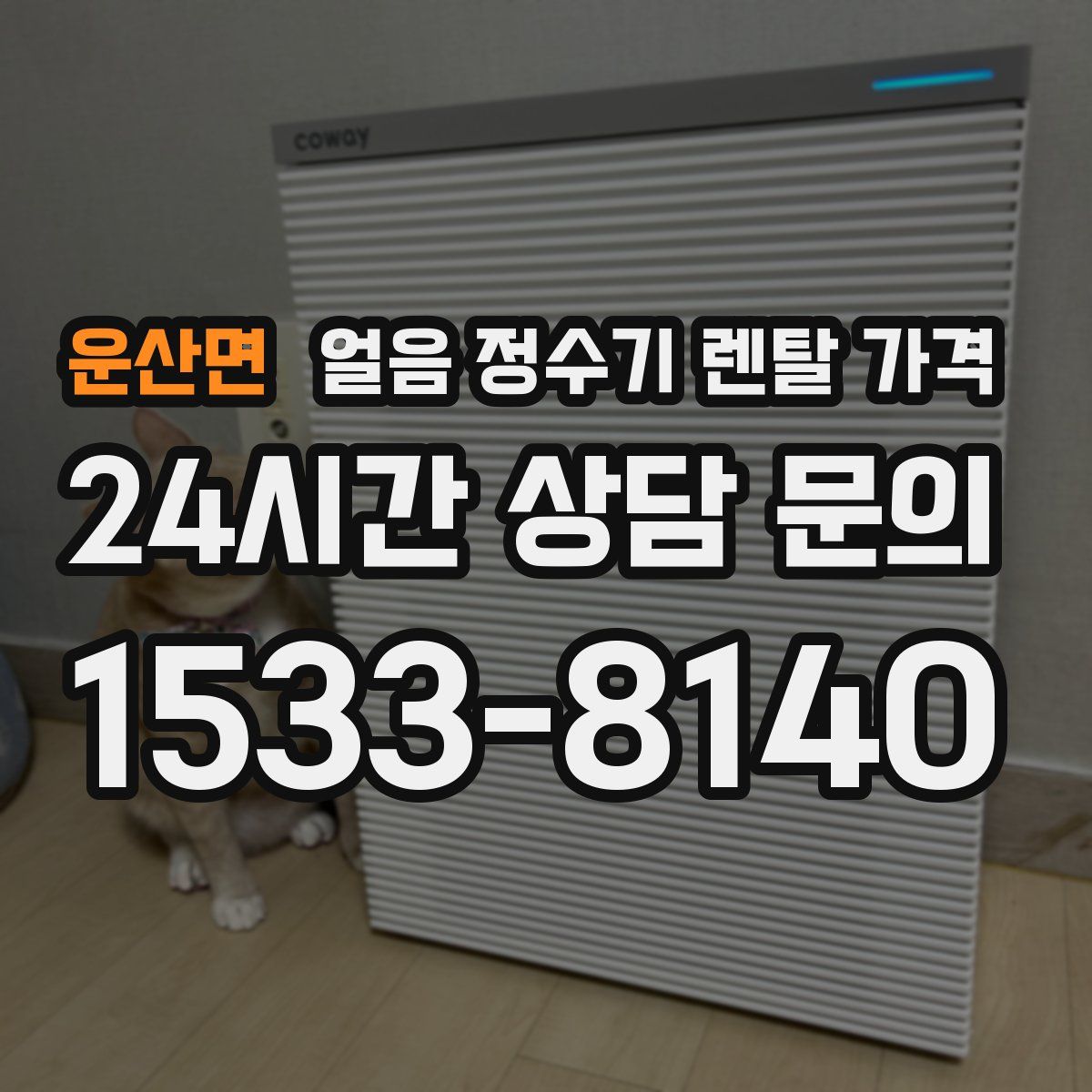 운산면 얼음 정수기 렌탈 가격