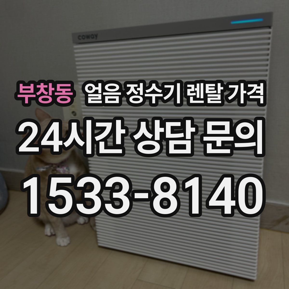부창동 얼음 정수기 렌탈 가격