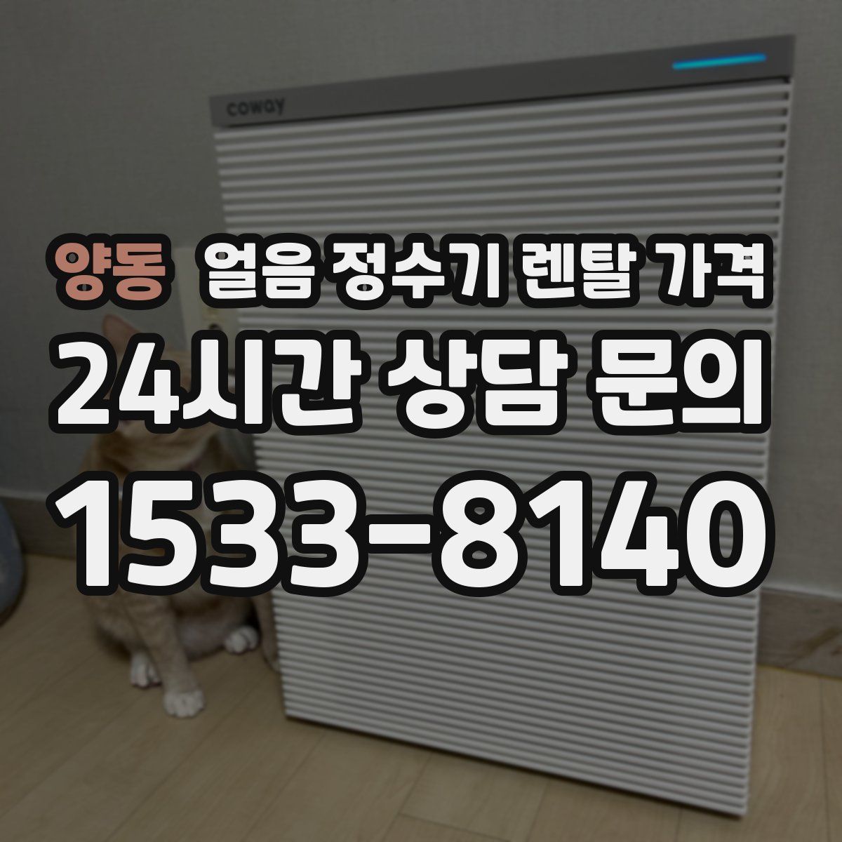 양동 얼음 정수기 렌탈 가격