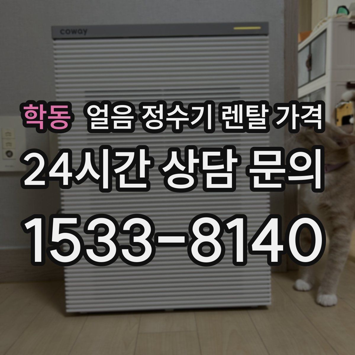 학동 얼음 정수기 렌탈 가격 우리 집에 맞는 제품 찾는 방법