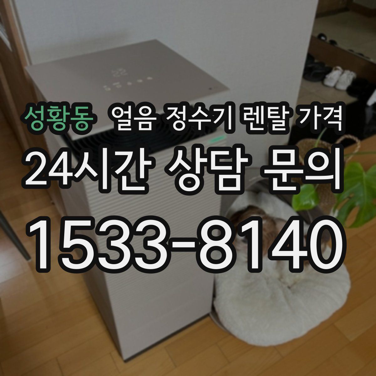 성황동 얼음 정수기 렌탈 가격