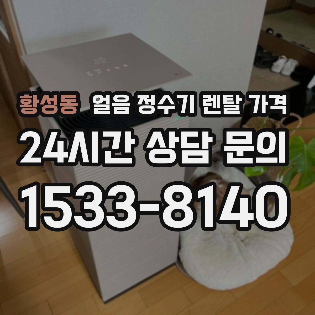 황성동 얼음 정수기 렌탈 가격