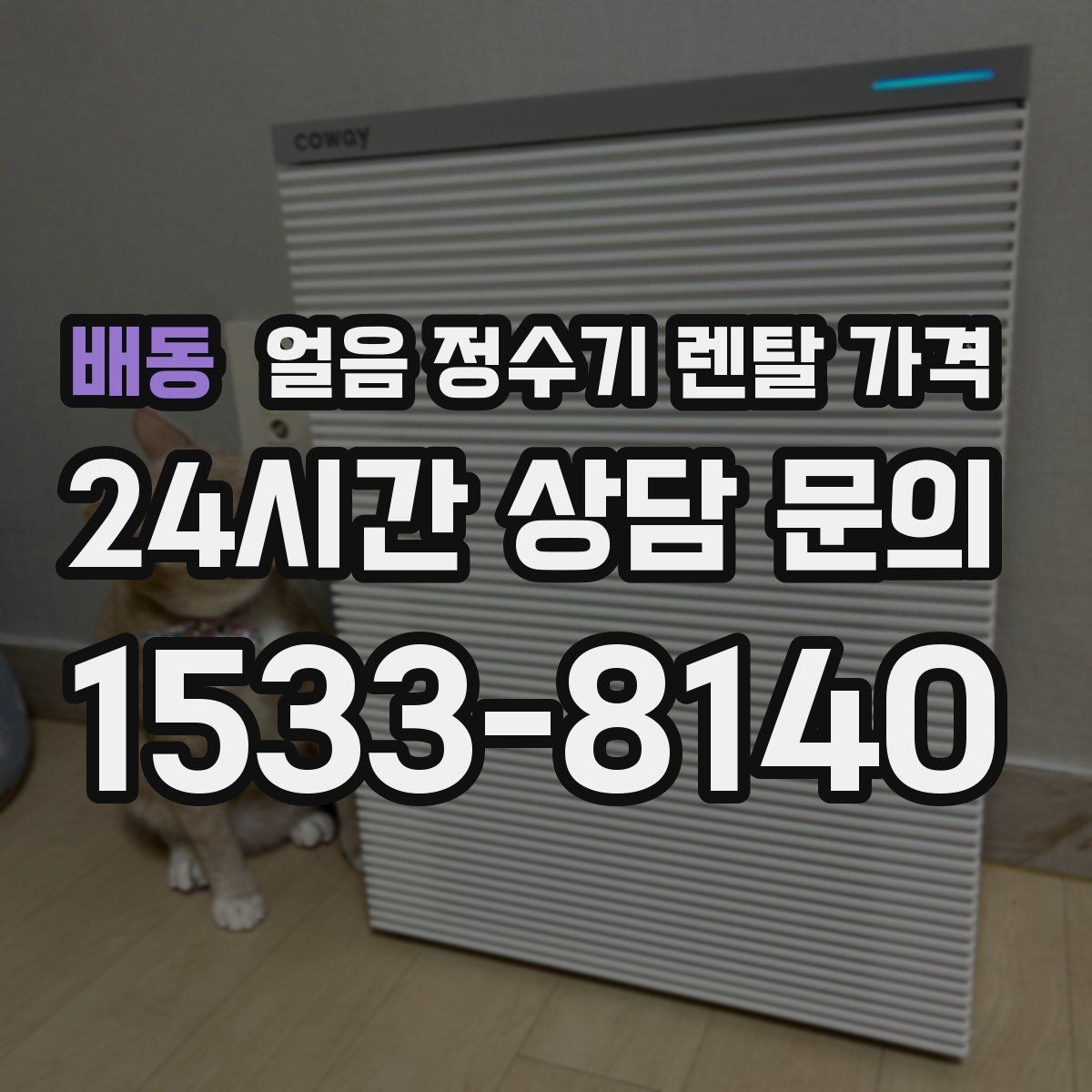 배동 얼음 정수기 렌탈 가격 관리 서비스 범위 비교 포인트