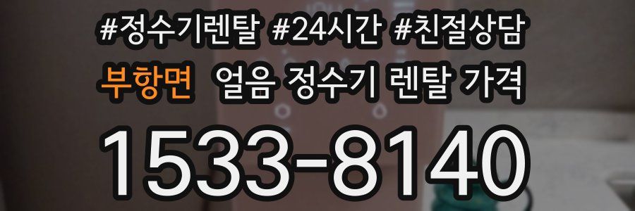부항면 얼음 정수기 렌탈 가격
