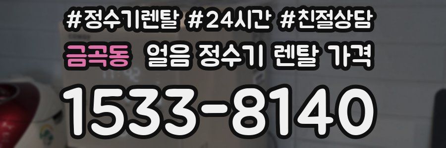 금곡동 얼음 정수기 렌탈 가격