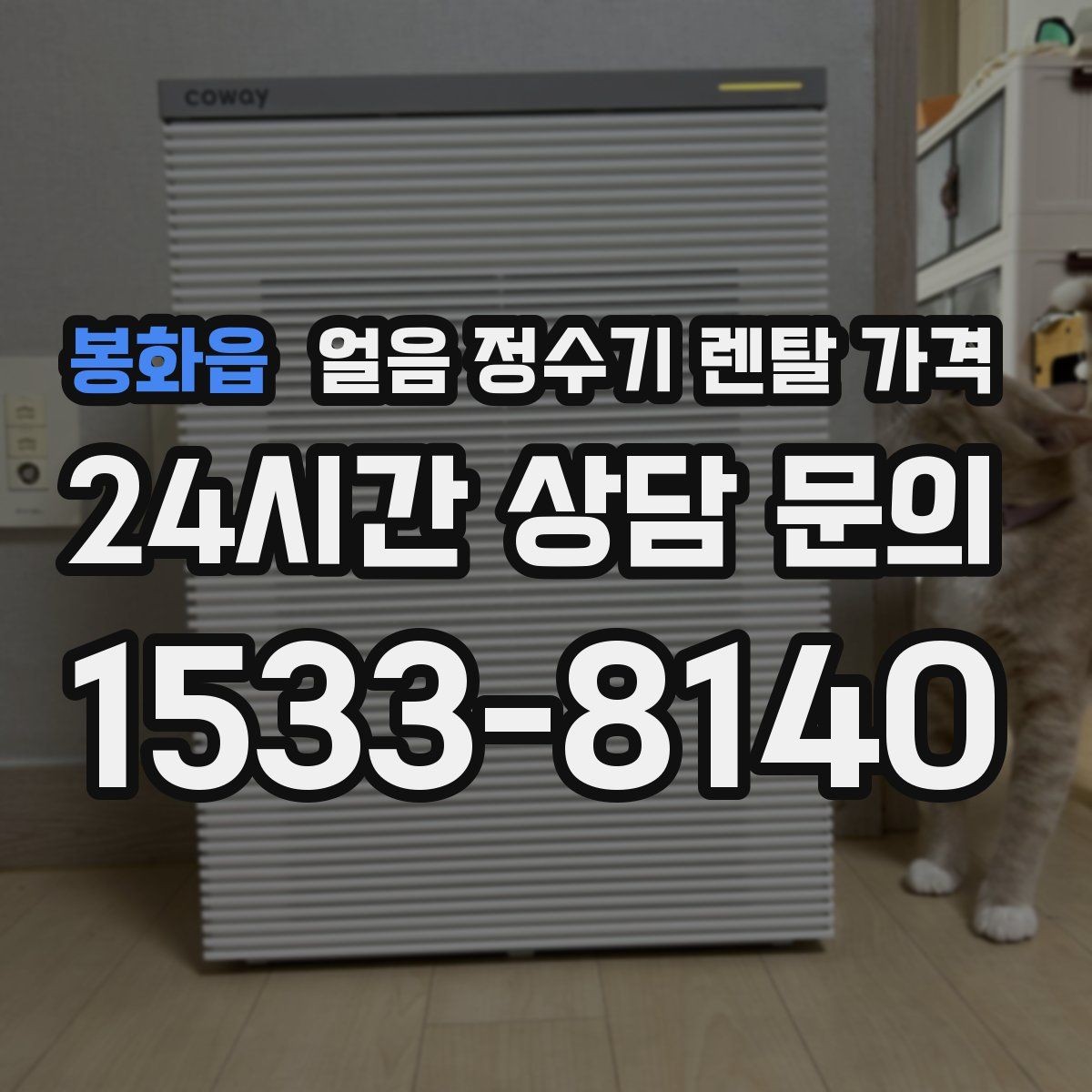 봉화읍 얼음 정수기 렌탈 가격 꼭 필요한 정보만 정리해보기