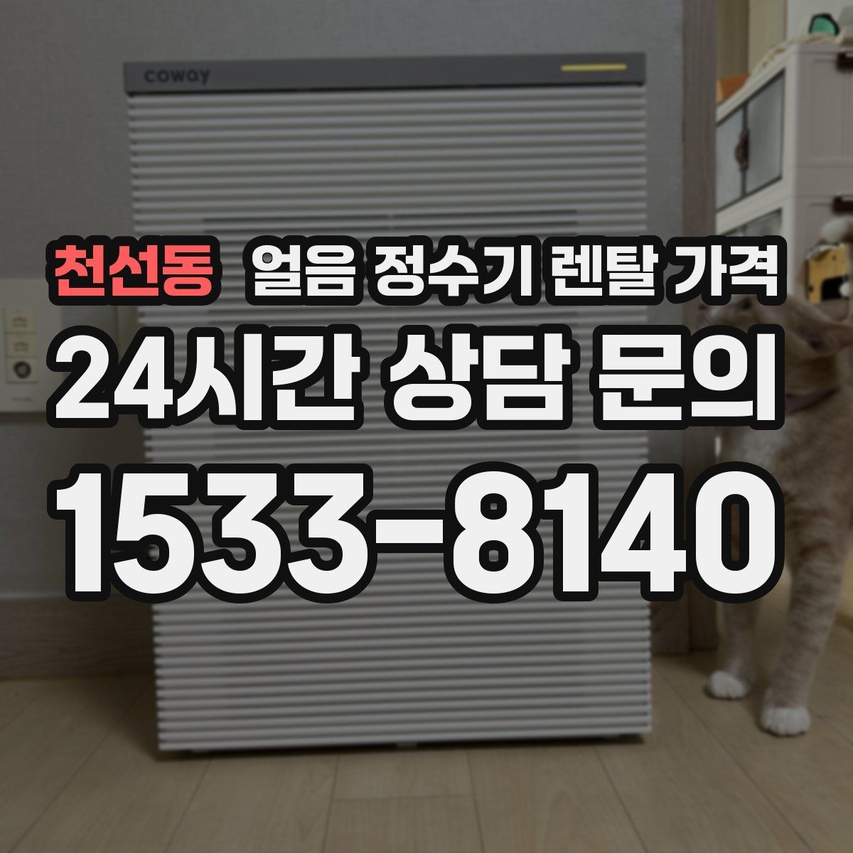 천선동 얼음 정수기 렌탈 가격 렌탈과 구매 중 어떤 선택이 좋을까