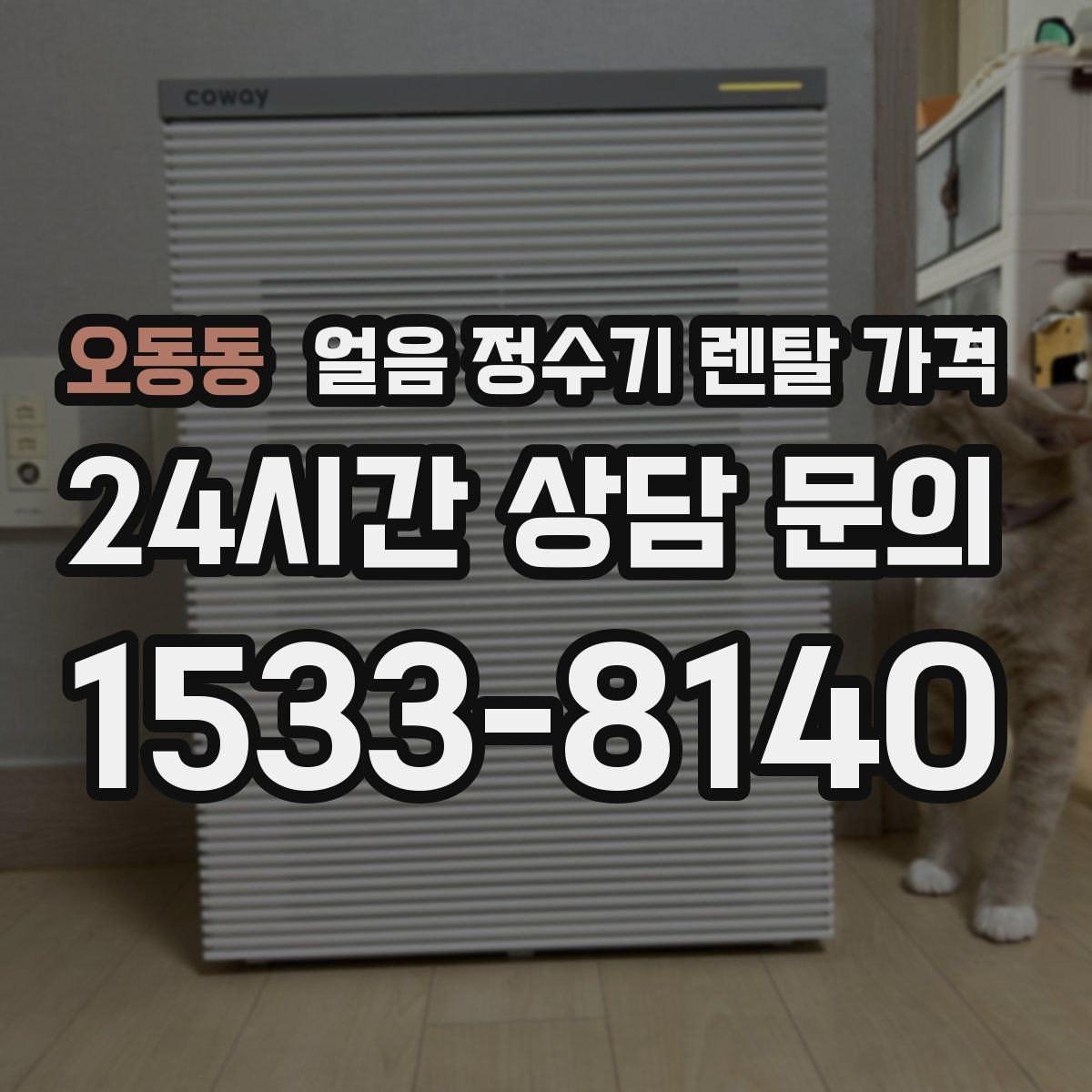 오동동 얼음 정수기 렌탈 가격 약정 종료 후 관리 방법