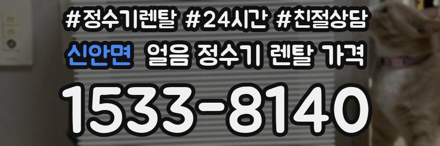신안면 얼음 정수기 렌탈 가격