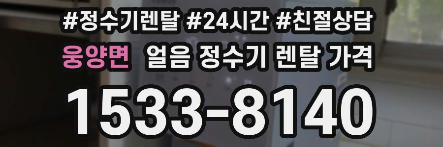 웅양면 얼음 정수기 렌탈 가격