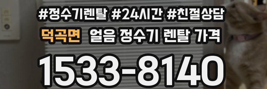 덕곡면 얼음 정수기 렌탈 가격