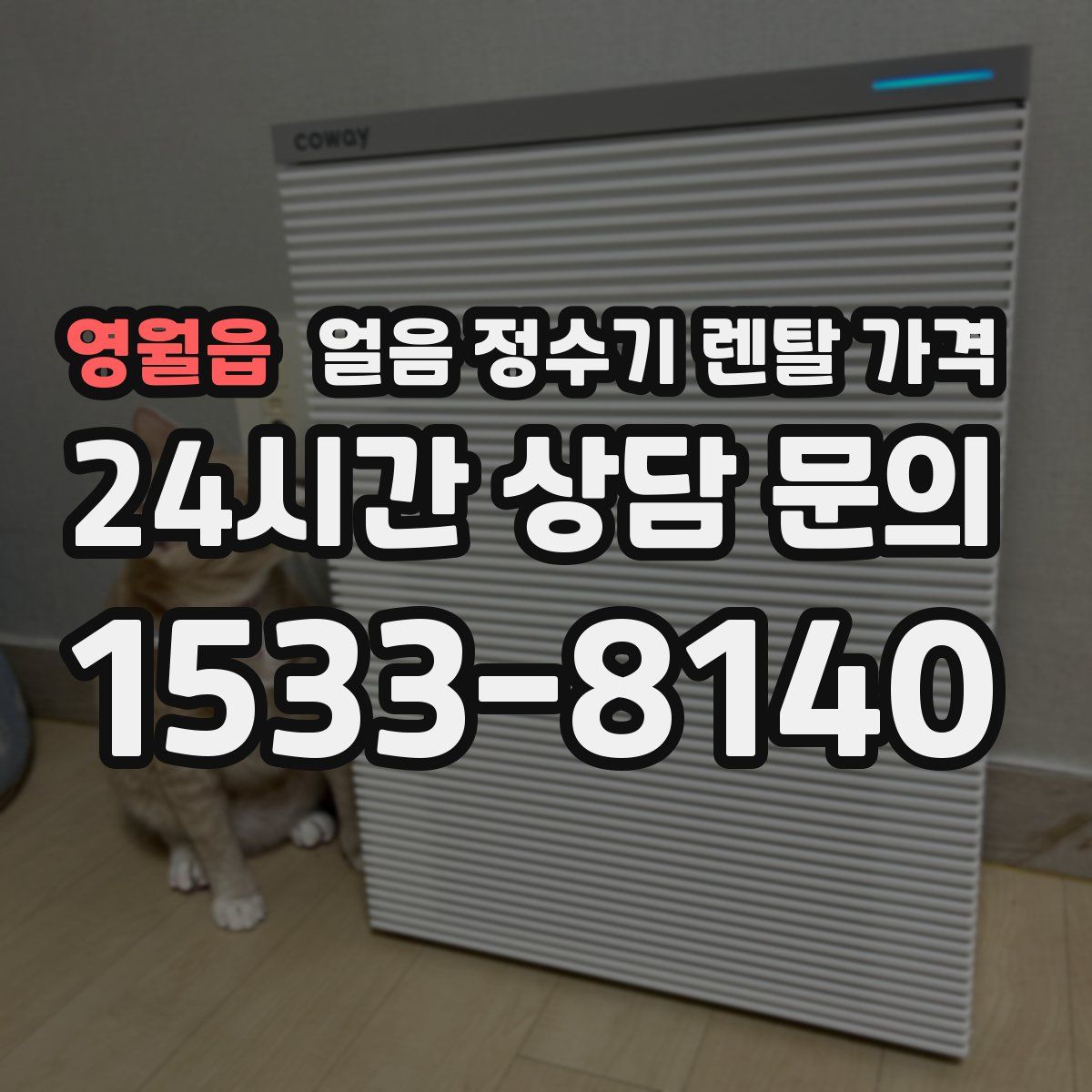 영월읍 얼음 정수기 렌탈 가격