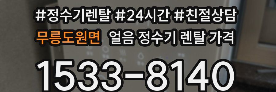 무릉도원면 얼음 정수기 렌탈 가격
