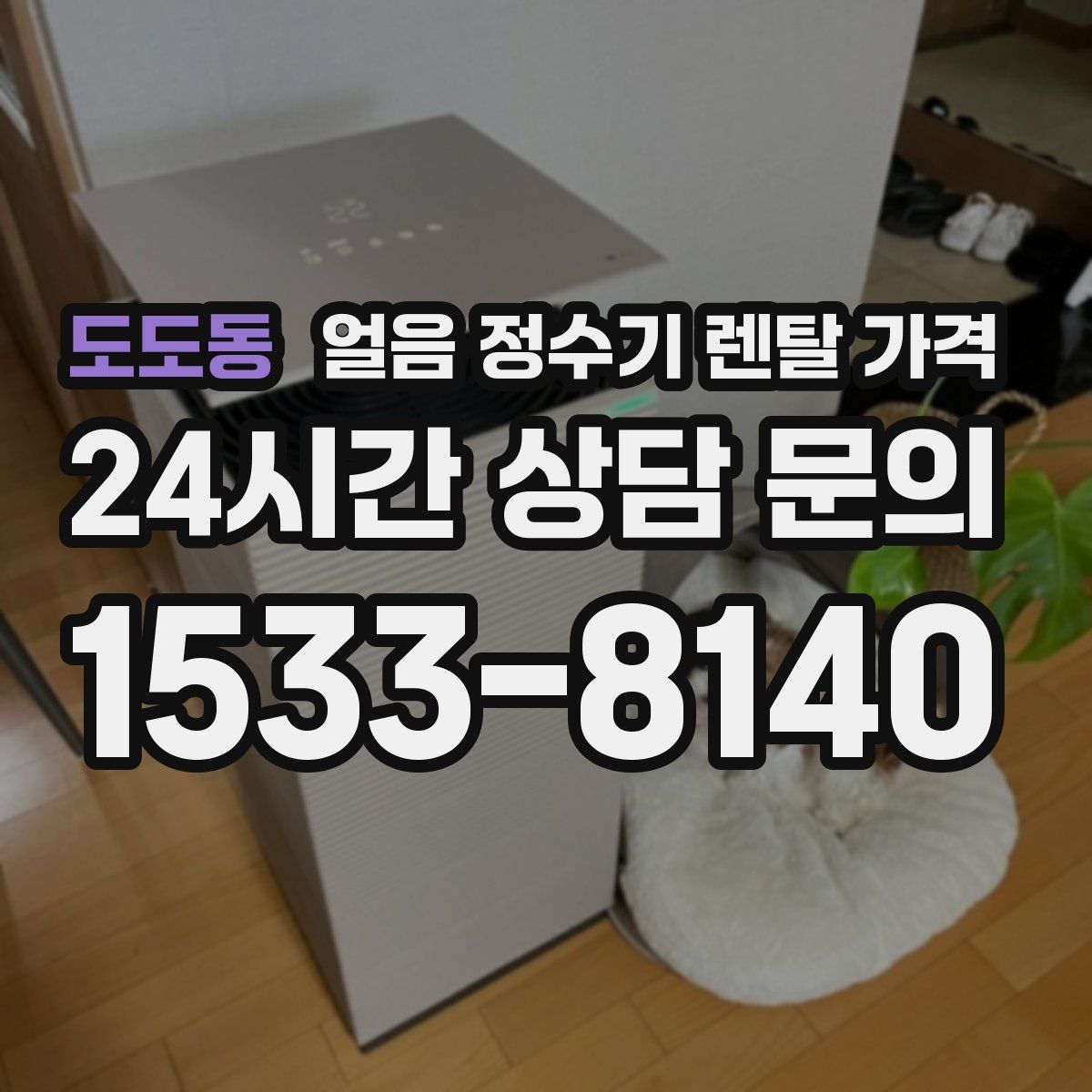 도도동 얼음 정수기 렌탈 가격