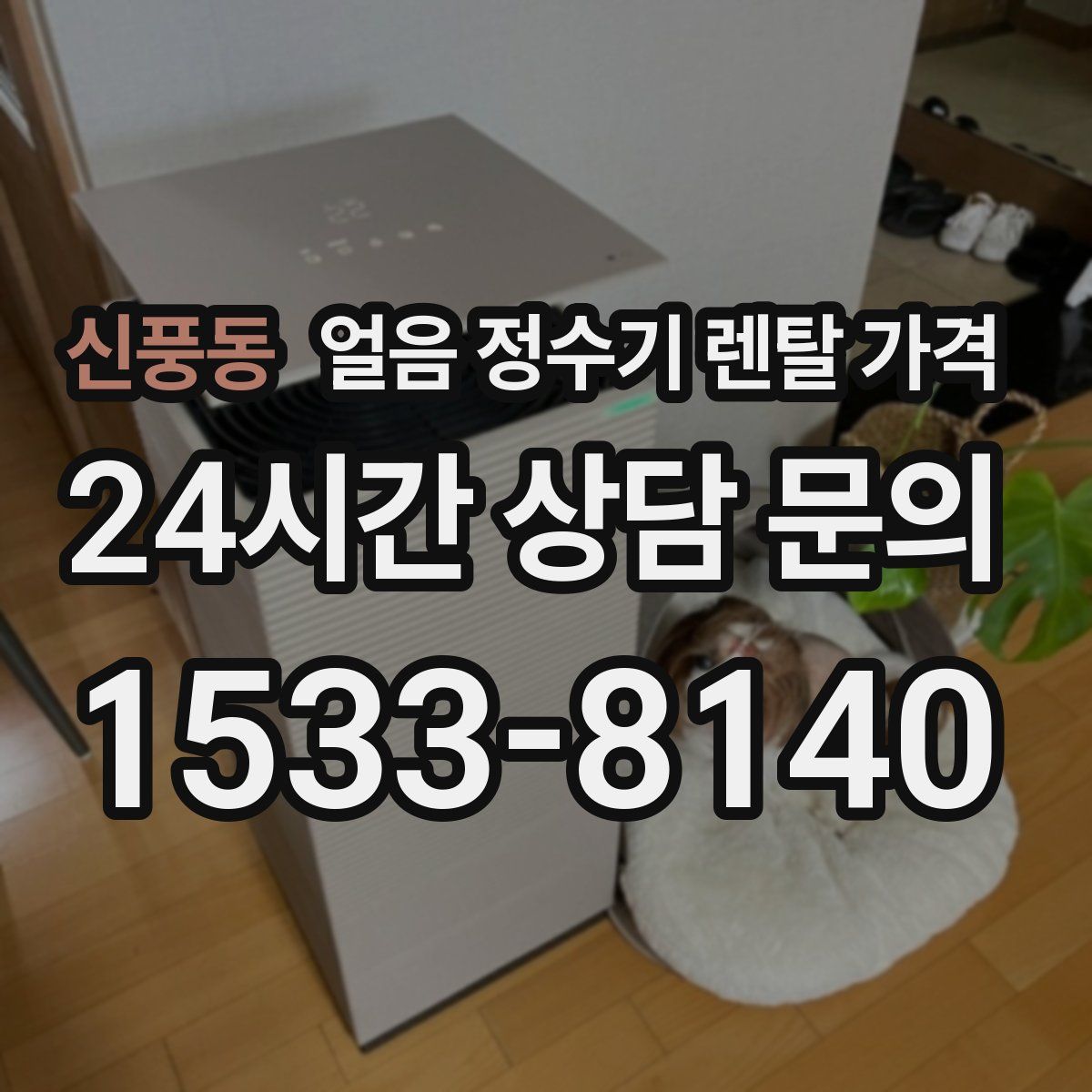 신풍동 얼음 정수기 렌탈 가격