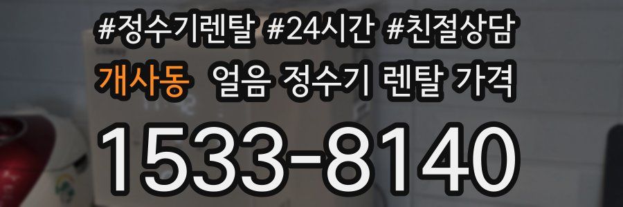개사동 얼음 정수기 렌탈 가격