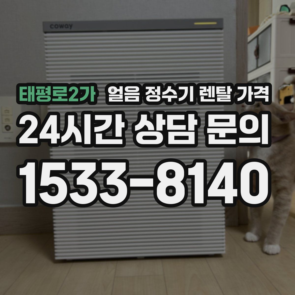 태평로2가 얼음 정수기 렌탈 가격