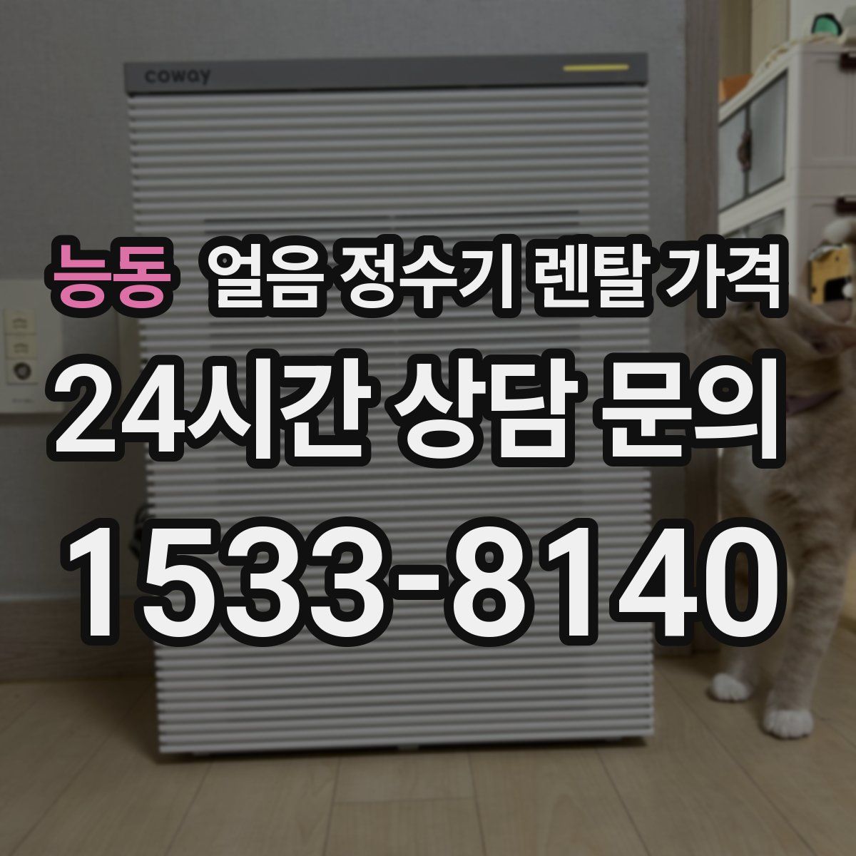 능동 얼음 정수기 렌탈 가격