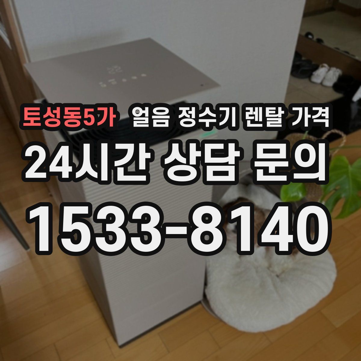 토성동5가 얼음 정수기 렌탈 가격