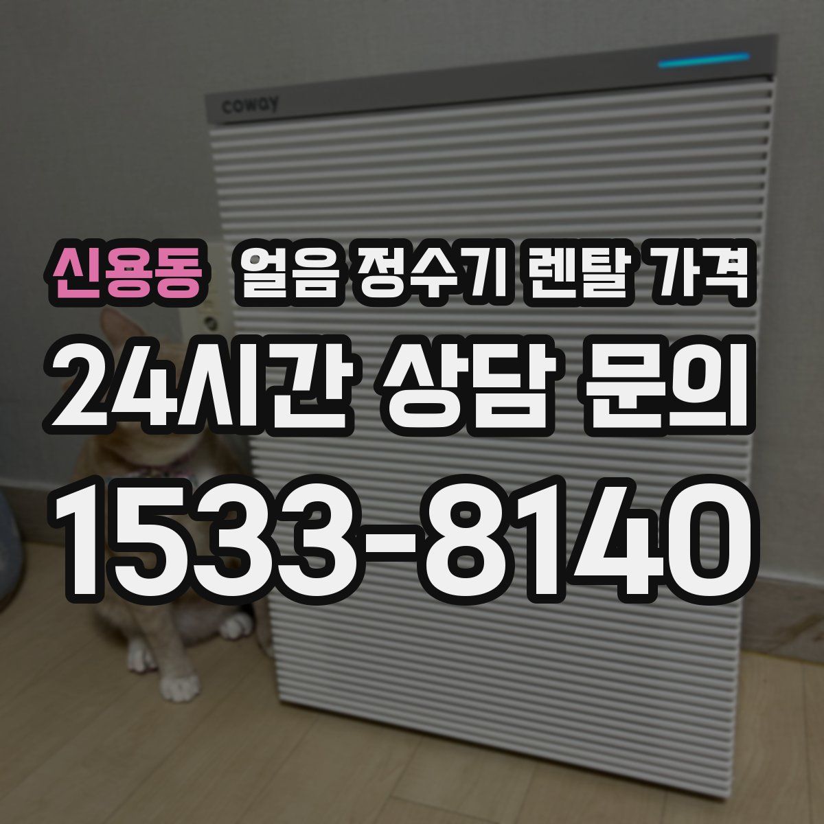 신용동 얼음 정수기 렌탈 가격