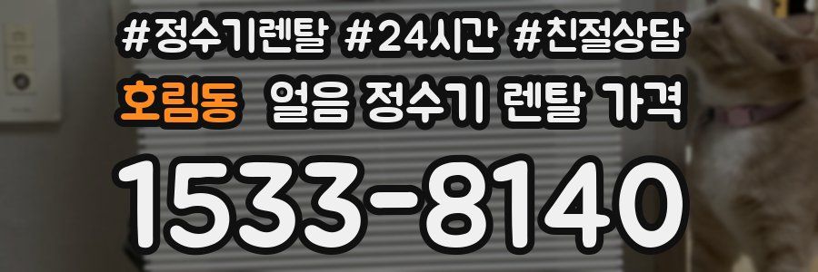 호림동 얼음 정수기 렌탈 가격