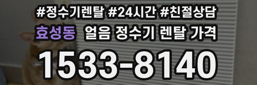 효성동 얼음 정수기 렌탈 가격