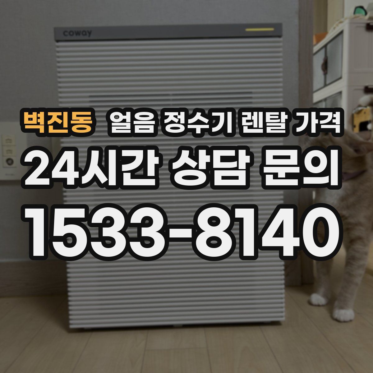 벽진동 얼음 정수기 렌탈 가격